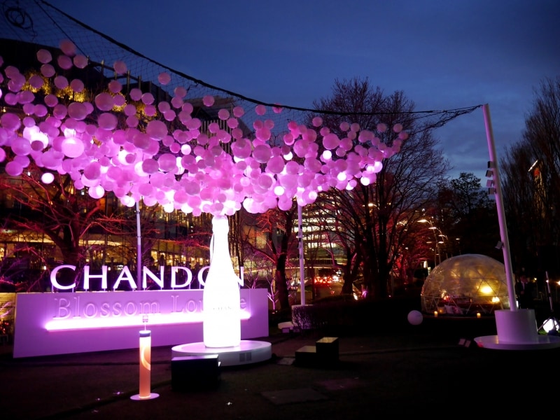 インスタレーション