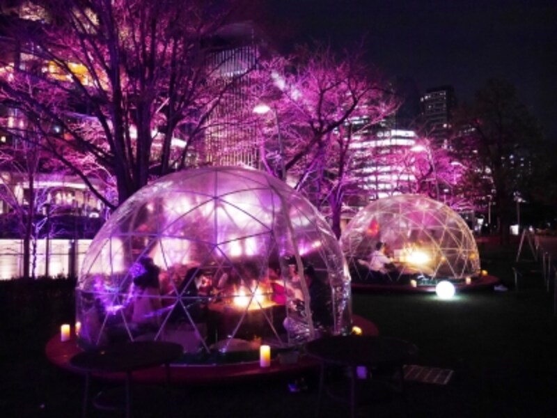 東京 大人の桜デートにおすすめな花見スポット5選 19年版 東京の観光 旅行 All About