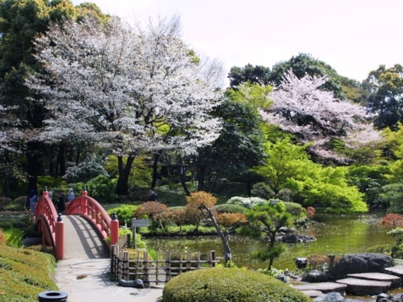 ニューオータニ日本庭園