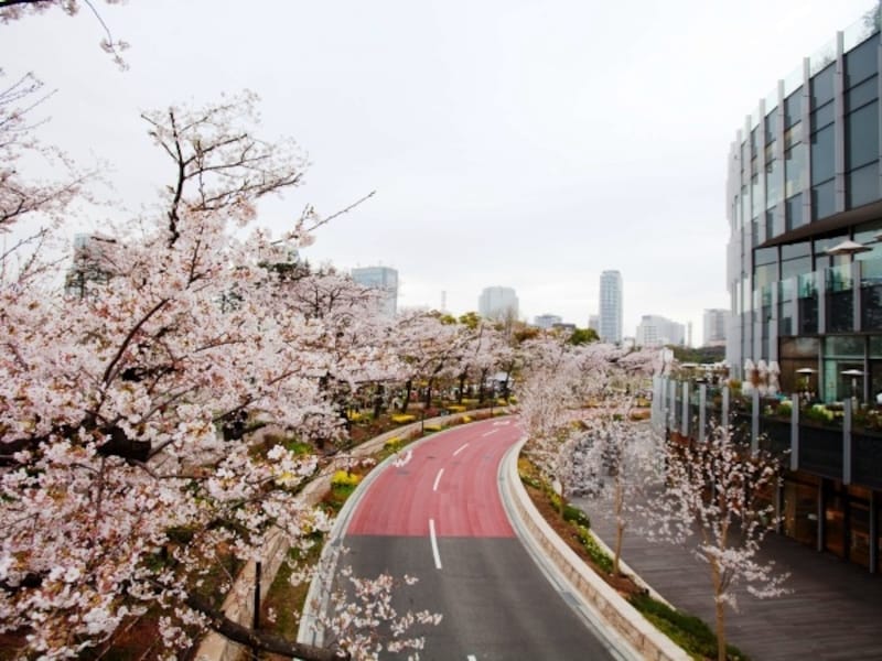 ミッドタウン『ガーデンテラス』