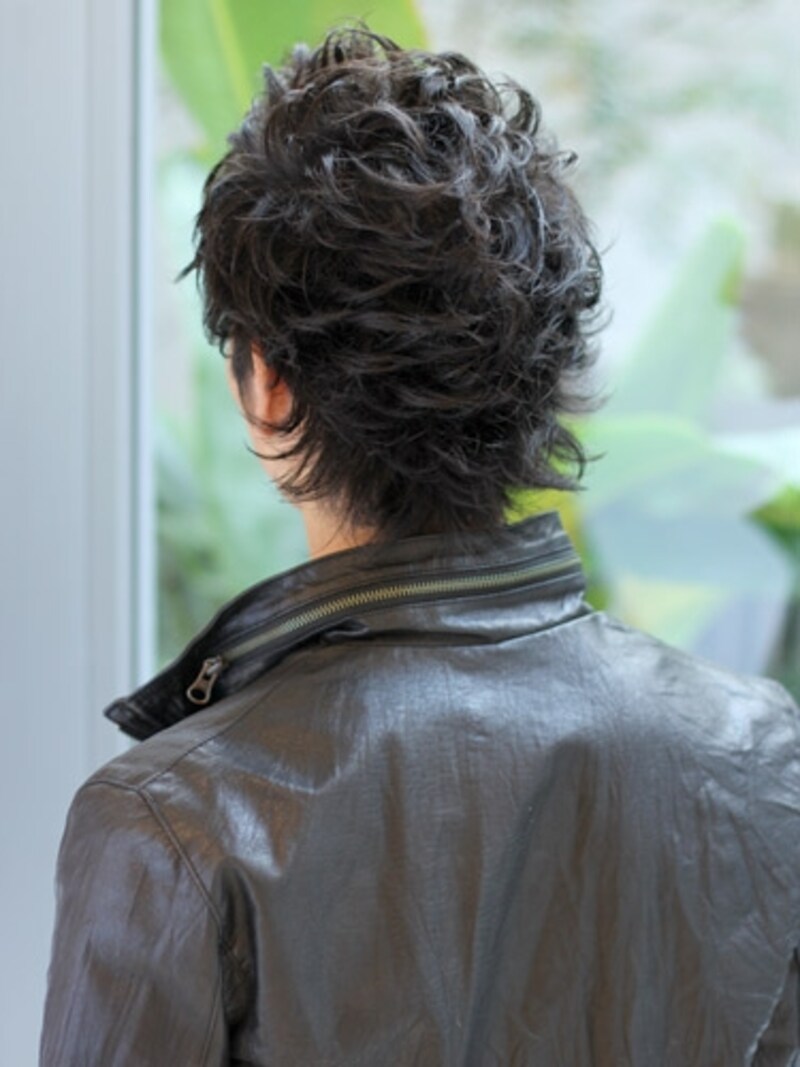 ワイルドウルフ