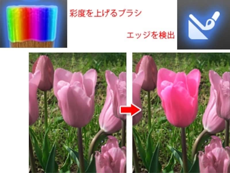 料理写真の料理の部分だけを鮮やかにしておいしそうに見せたいというときにもおすすめ
