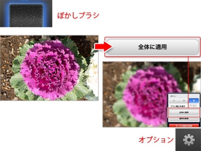「ぼかし」ブラシで全体をぼかした状態