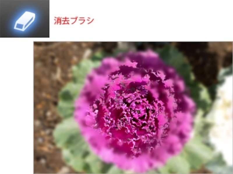 花や小物の背景をぼかしたいときにいかがでしょう