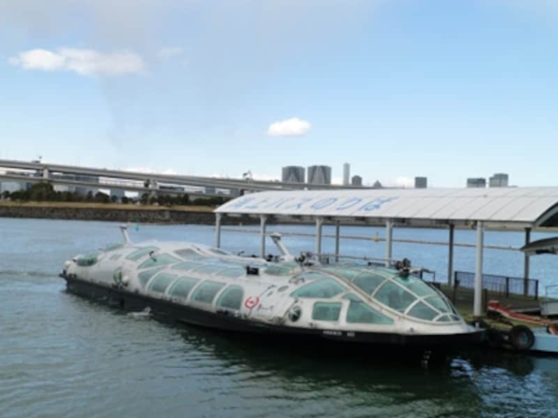 DMC-TZ30 実写画像05