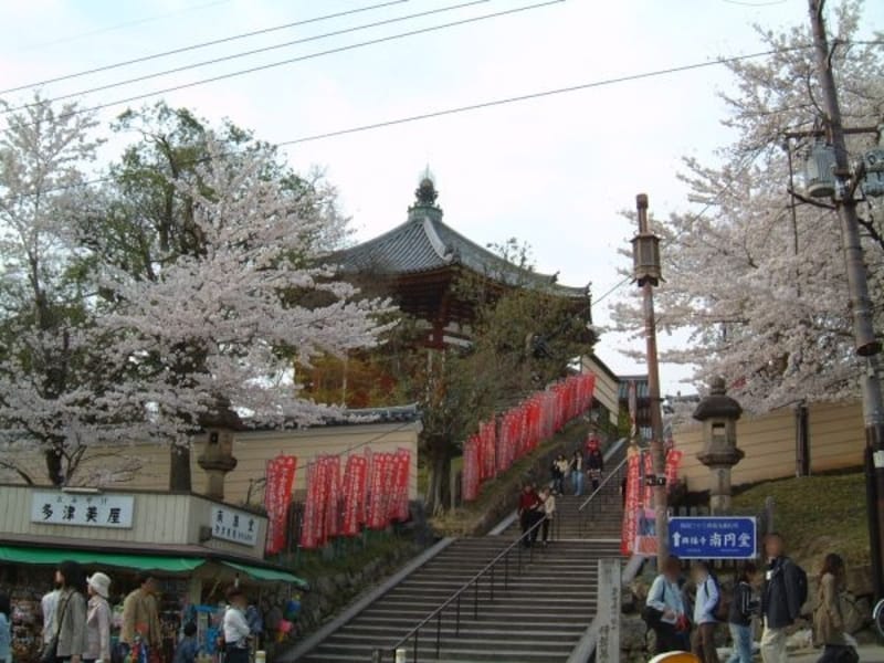 興福寺（3）／南円堂と桜