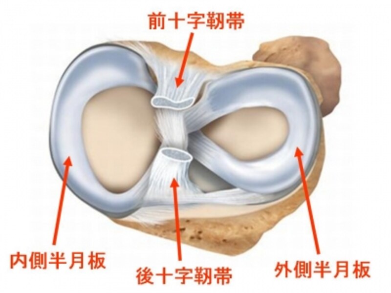 原因と危険因子
