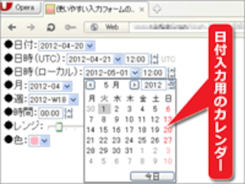 様々な専用入力欄(Operaでの例)
