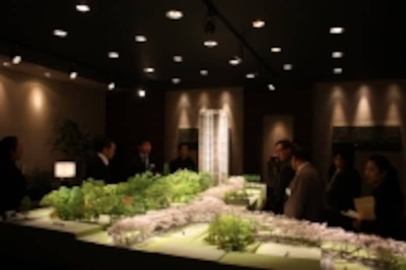 イメージフォト