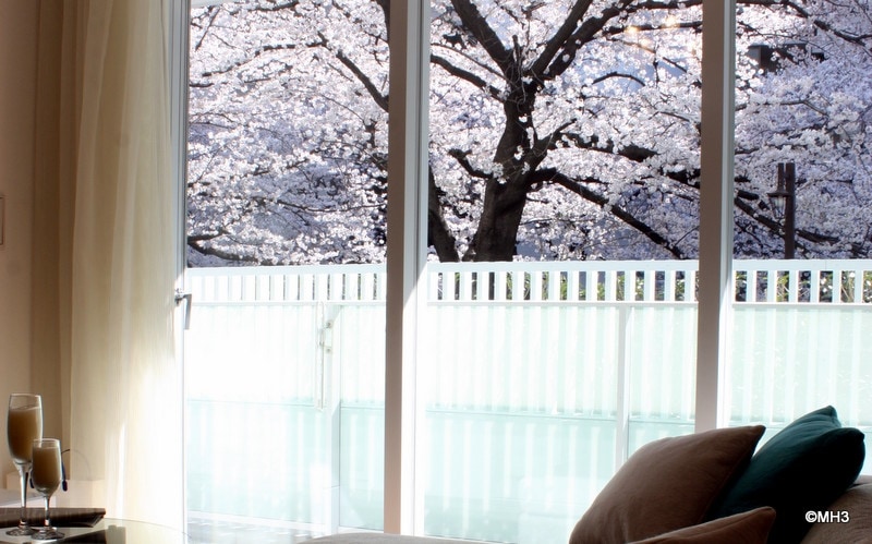 ベッドルームから桜並木を望む