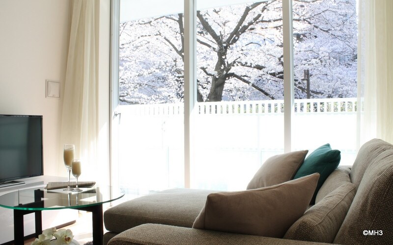 ベッドルームから桜並木を望む