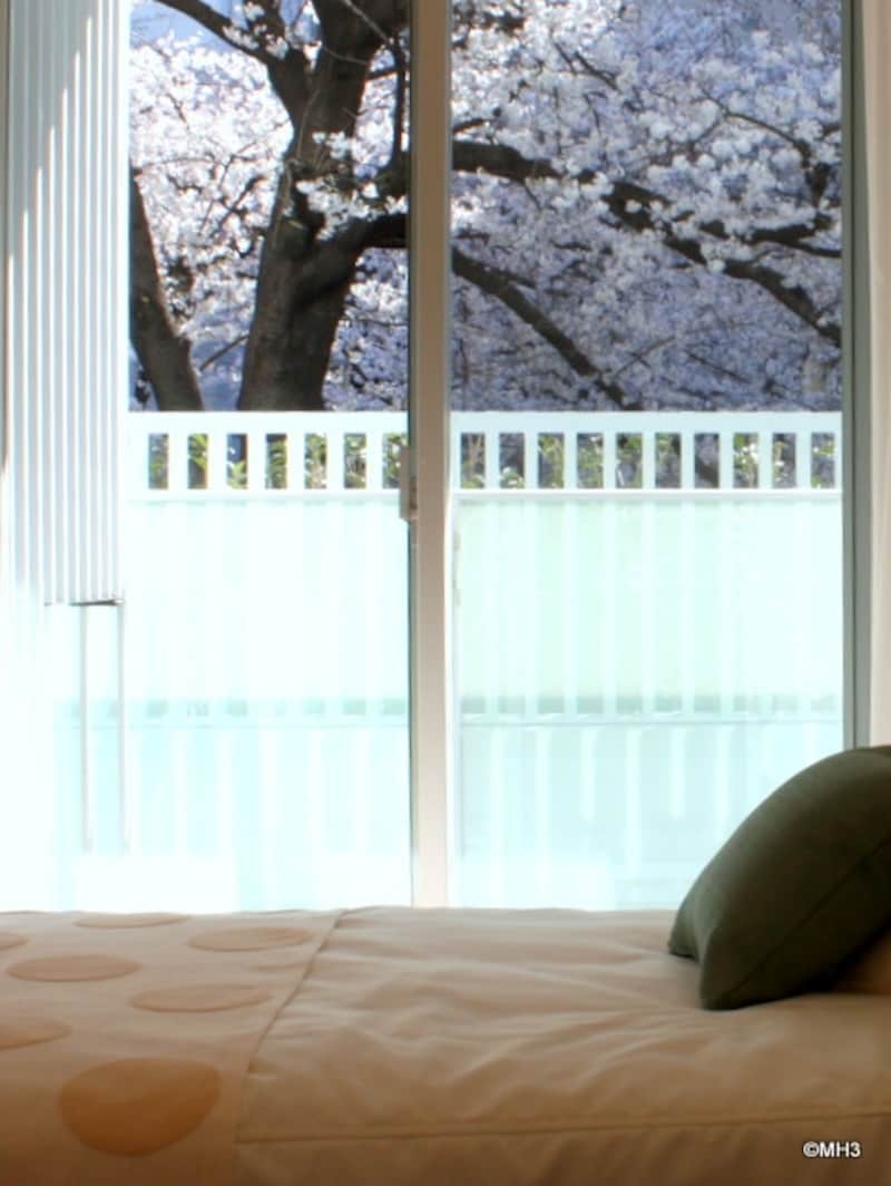 ベッドルームから桜並木を望む