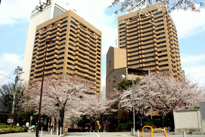 アークタワーズ