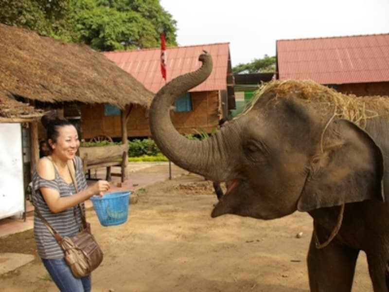 象undefinedアユタヤundefined