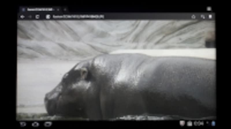 画像データをタップすると大きな画面で表示される。表示速度はWi-Fiの接続環境によって変わってくる