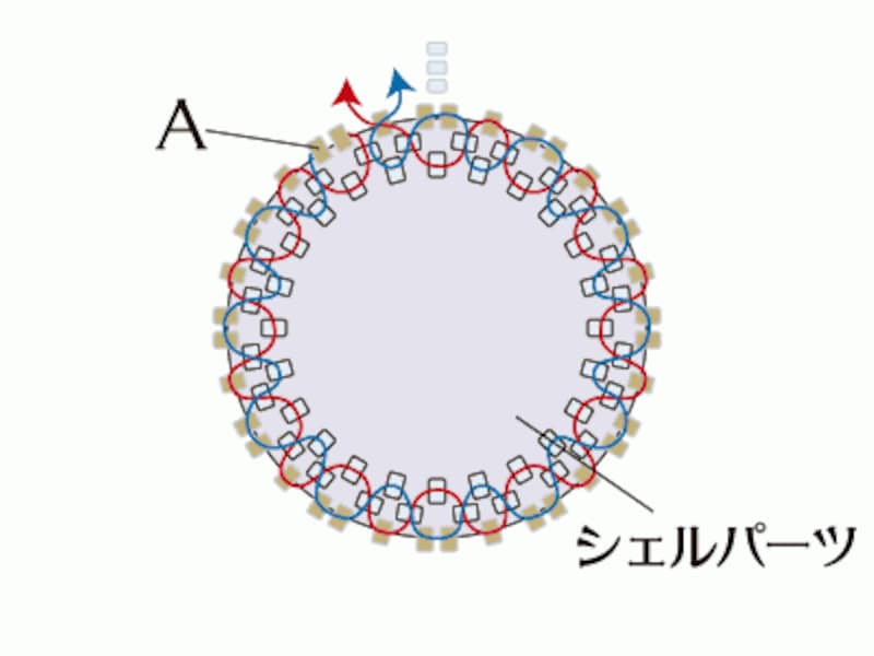 シェルパーツのフレーミングペンダント