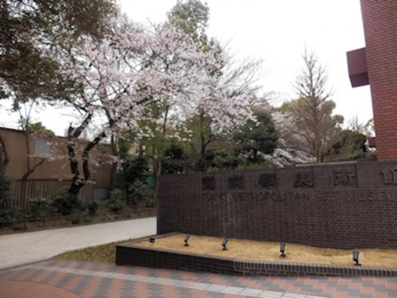 iAUTOundefinedF3&nbsp;1/250秒&nbsp;ISO80undefined4.2mm（24mm相当）「東京都美術館と桜」undefinediAUTOモードでは、被写体を自動認識して風景やポートレートなどに自動設定。ライブガイドで色合いや明るさ、鮮やかさを変更することも可能