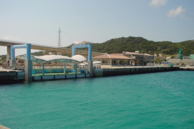 慶良間諸島 阿嘉島の楽しみ方 沖縄の観光 旅行 All About 慶良間諸島 阿嘉島の楽しみ方 沖縄の観光 旅行 All About