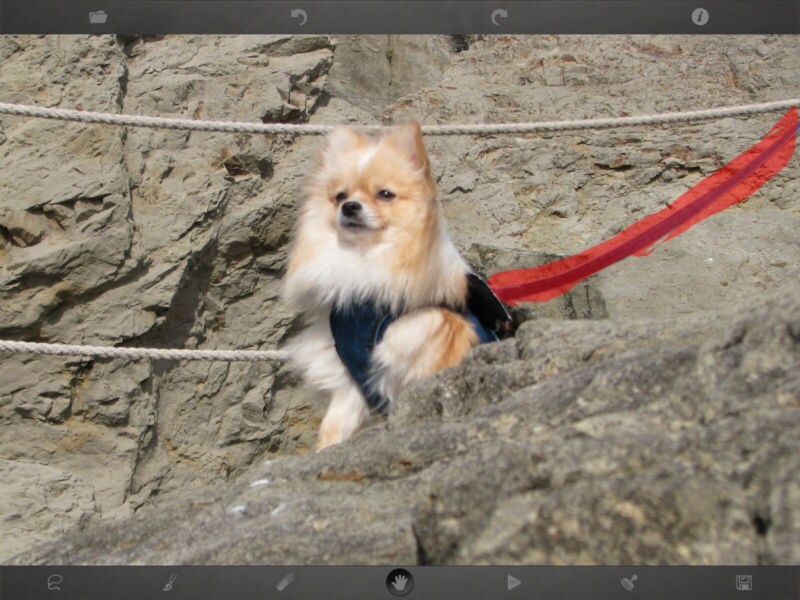 手軽な操作で写真内の不要なオブジェクトを消去できる「TouchRetouch」