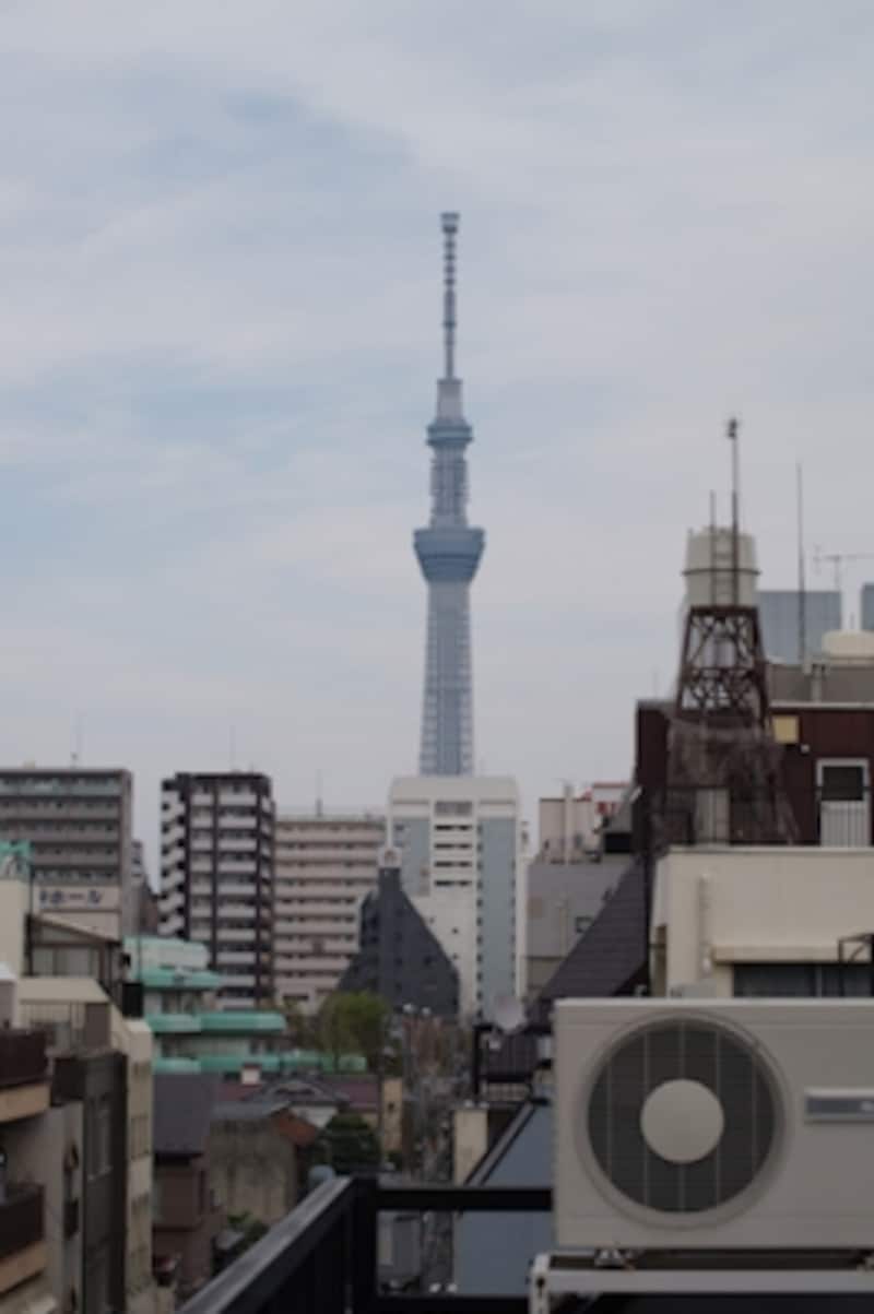 おまかせオートundefinedF11 1/160秒 ISO100undefinedDT 55-200mmundefined55mm(88mm相当)undefined光学ズームおよび超解像ズーム、デジタルズームの比較