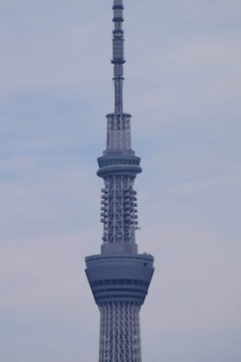 おまかせオートundefinedF9 1/400秒 ISO100undefinedDT 55-200mmundefined200mm(320mm)相当undefined光学ズームの320mm相当