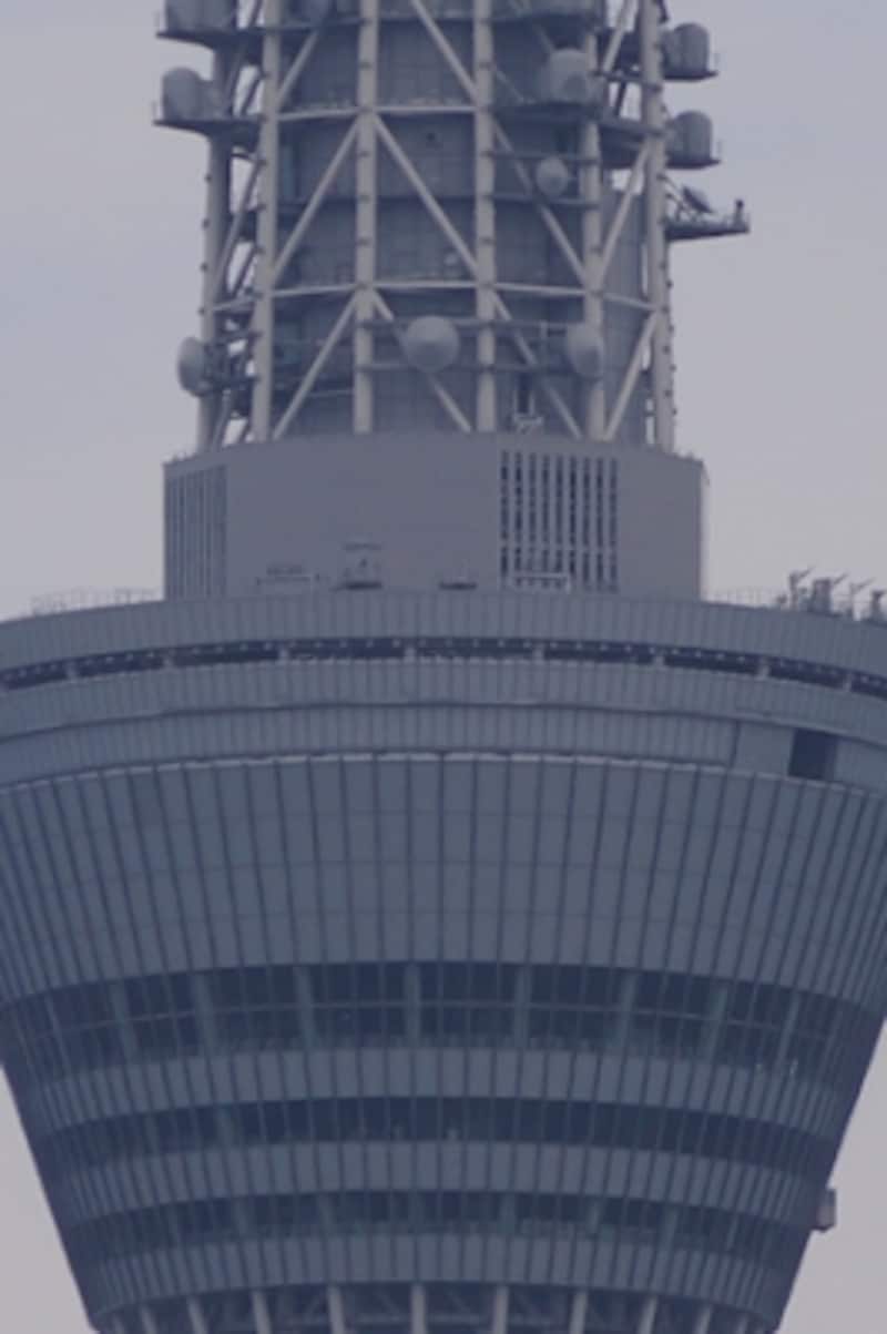 おまかせオートundefinedF7.1 1/500秒 ISO100undefinedDT 55-200mmundefined200mm+デジタルズーム(1280mm相当)undefinedズームするとわずかなノイズが見られるが、約4倍のデジタルズームが可能