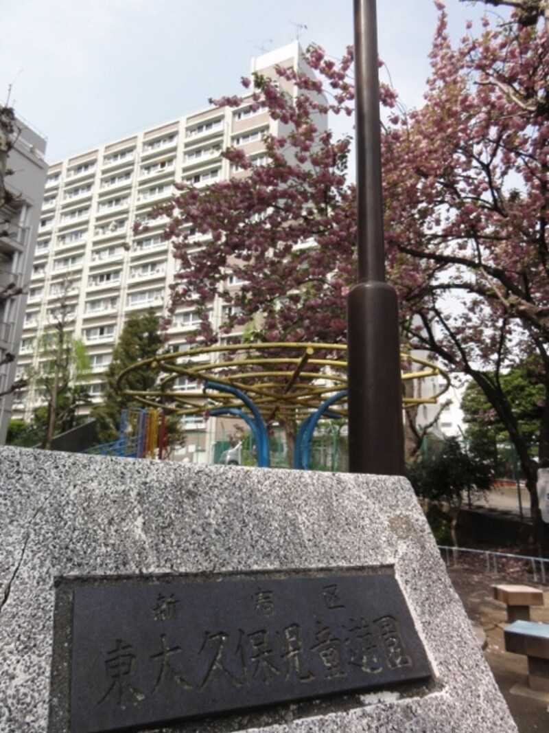 ちなみに新宿６丁目には東大久保公園がある