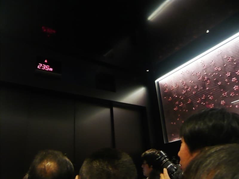 「桜の空」の天望シャトル