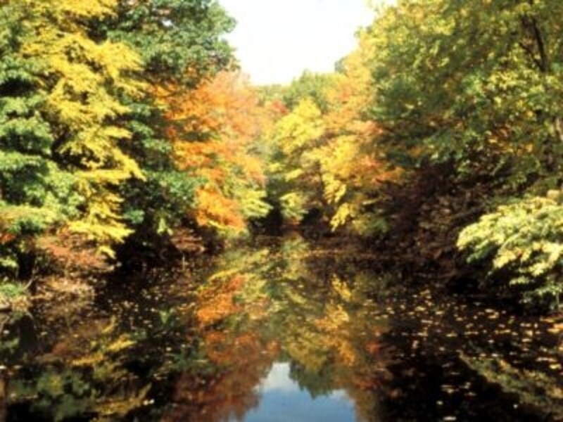 photo: Michael Fusco