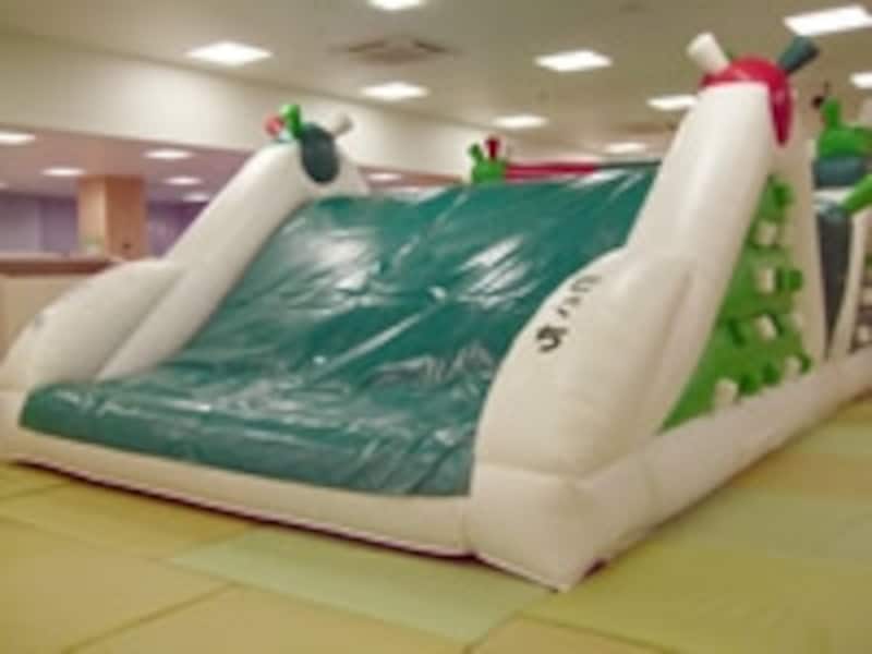 「ふわふわ」サボテンジャングル