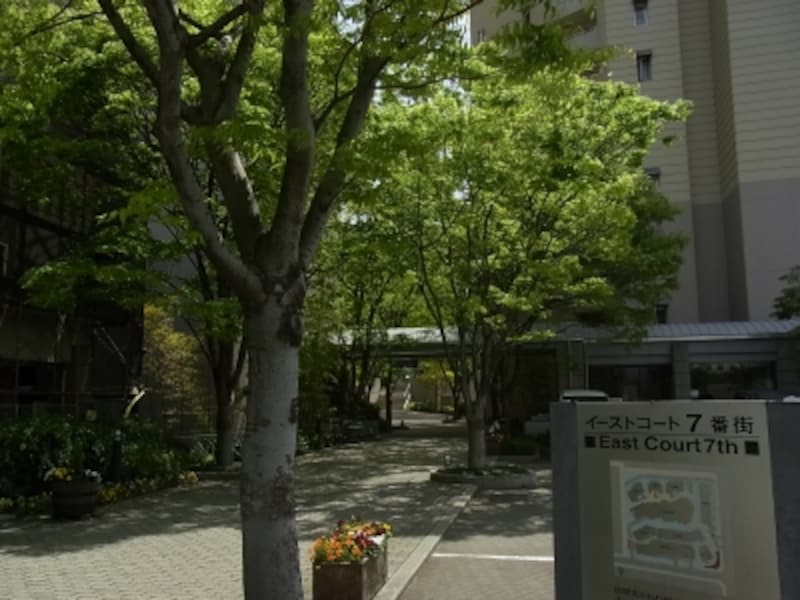 イーストコートの緑