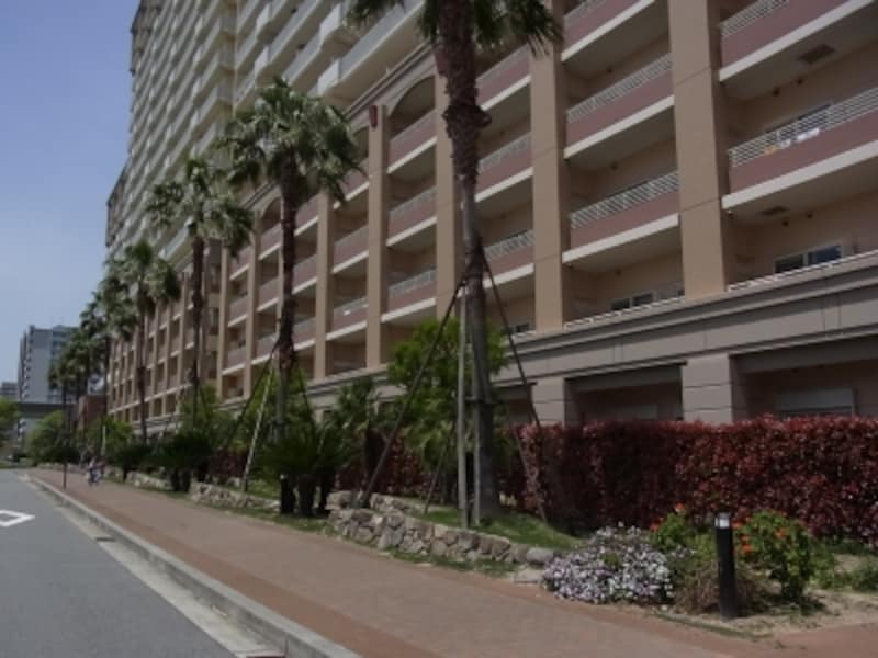 イーストコートの緑