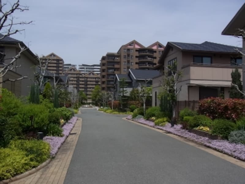 六甲アイランド緑に囲まれた戸建て