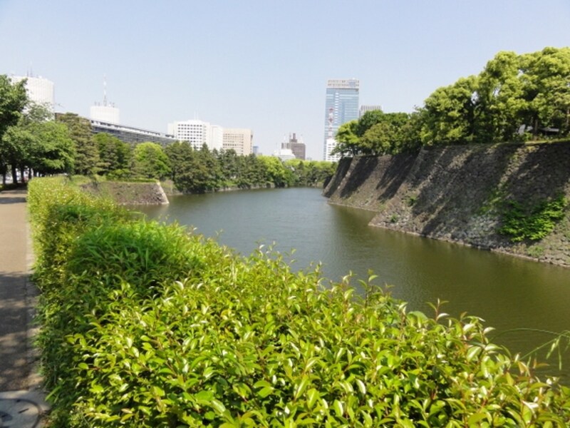 平川濠をのぞみながら歩く皇居外周