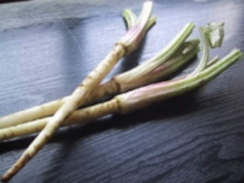野菜,果物,キノコ,海藻,食物繊維