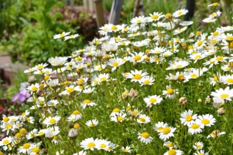 D3200実写画像14a