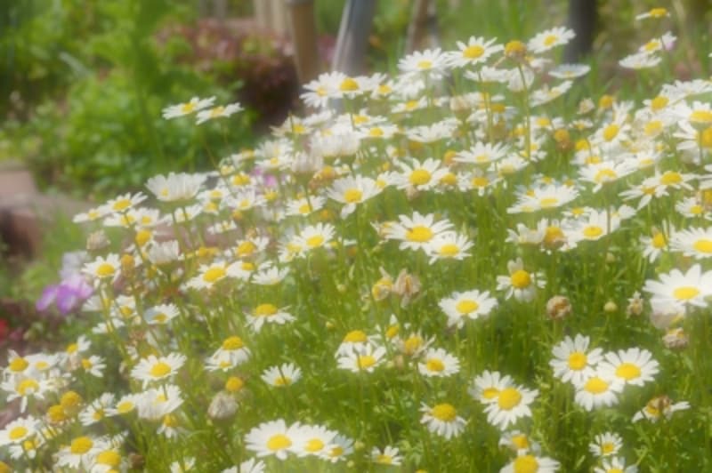 D3200実写画像14b