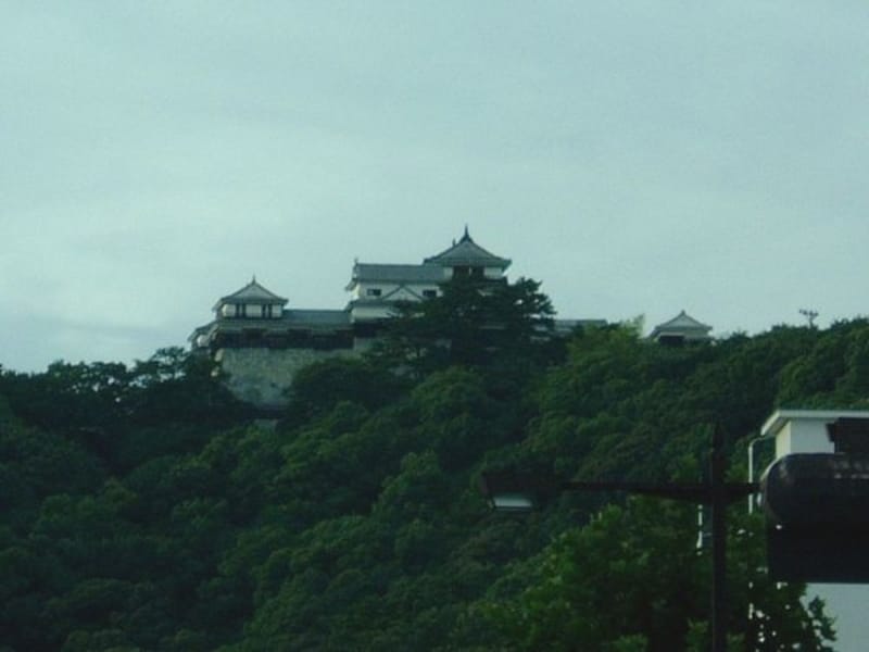 松山城（1）／松山市役所前より