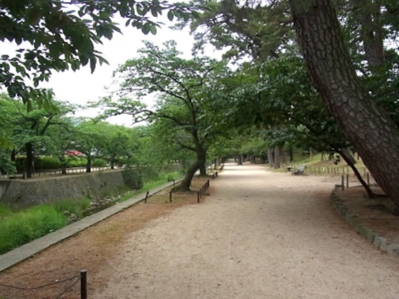 夙川公園