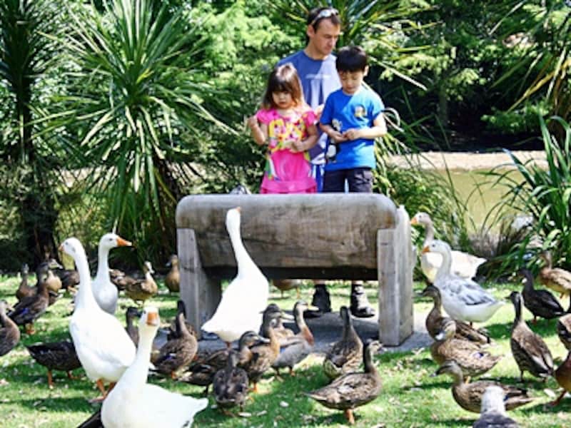 ニュージーランド