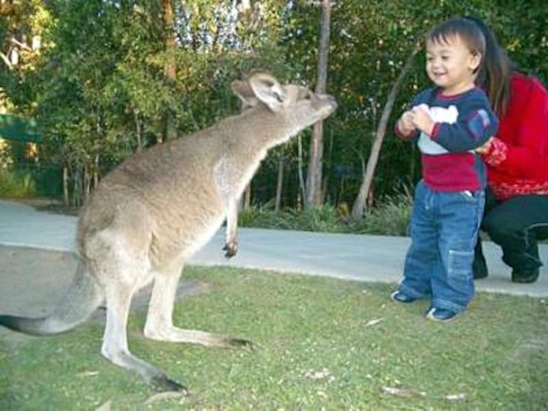 オーストラリア