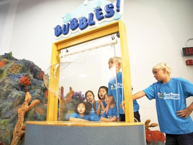 こども博物館「チルドレン・ディスカバリー・センター」ヘのお出掛けも