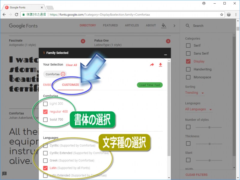 必要であれば「CUSTOMIZE」をクリックして、書体や文字種を追加する