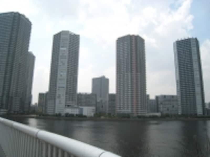 辰巳運河から望む