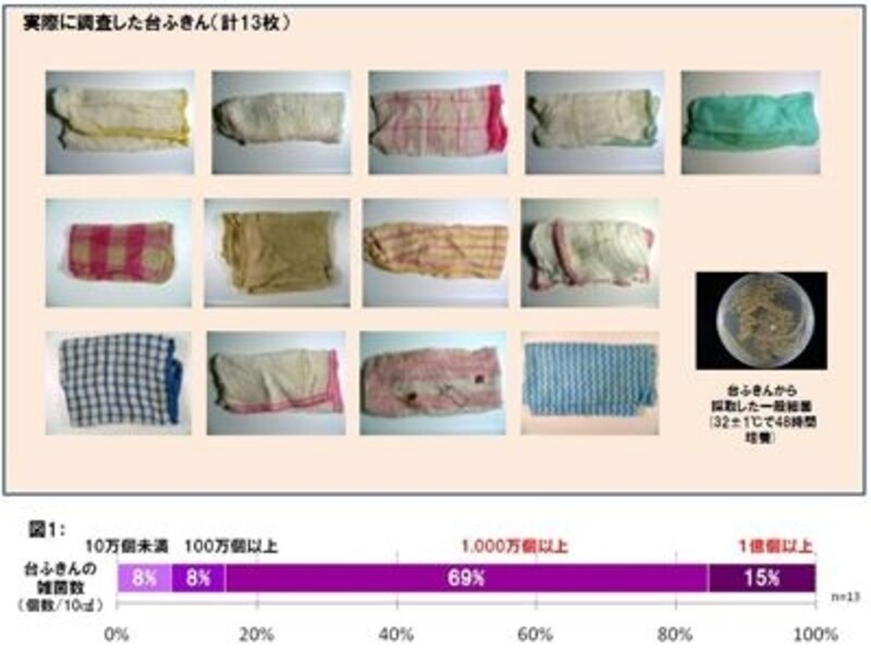 実際に調査した台ふきん（計13枚）