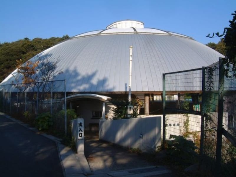 隠岐国分寺横にある牛突き場、隠岐モーモードーム