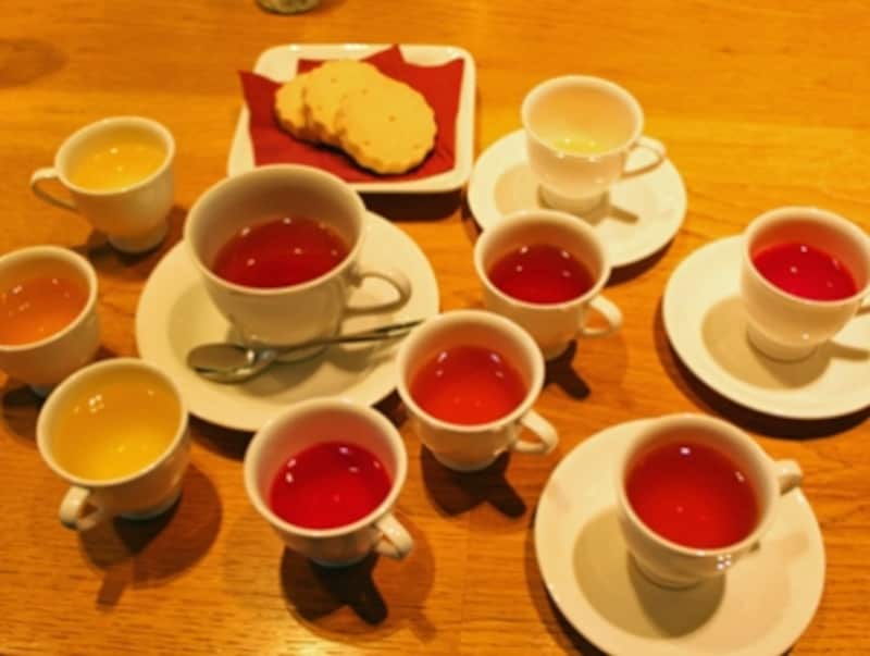 テイスティングカップを並べるだけでもこんなに華やか