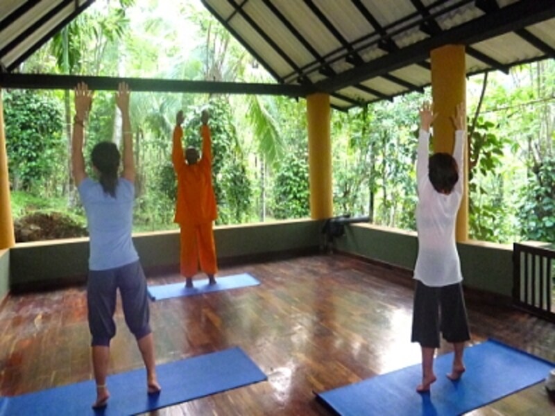鳥のさえずりが耳を癒し、ヨガで体と心がほぐれます。