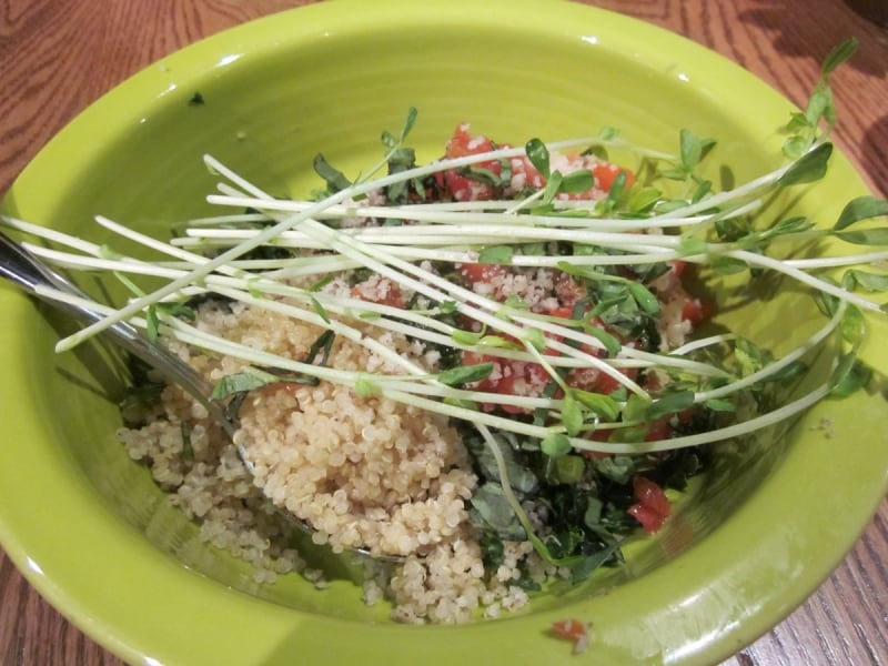 火を通さない！卵も使わない！完全ビーガン料理