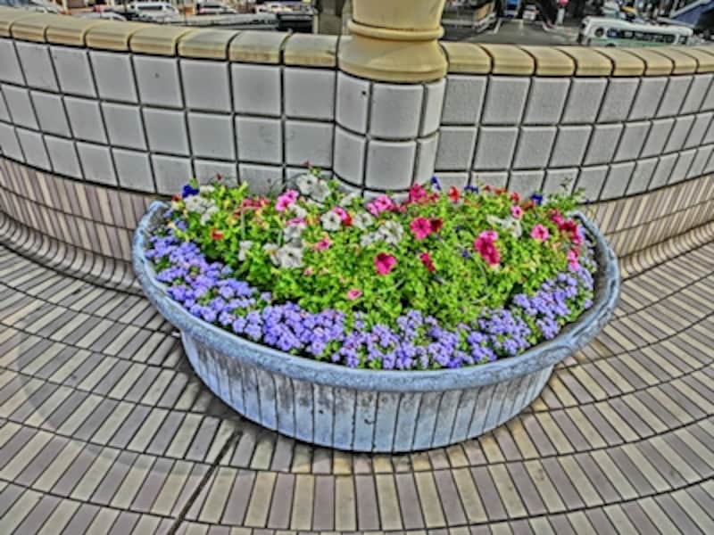 HDRアートundefinedF3 1/800秒 ISO80undefined4.24mm（24mm相当）「花壇」